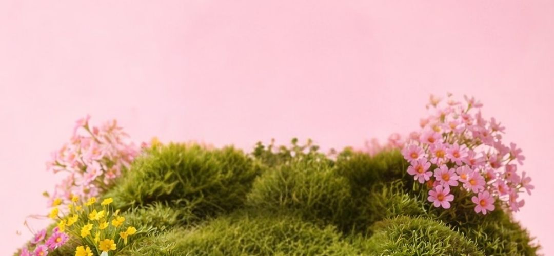 100% Plant-Based & Organic